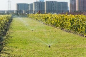 Sprinkler System Services by Custom Landscapes